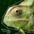 Profile picture of WildBill24